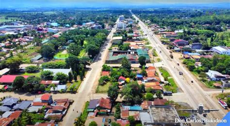 don carlos zip code|Don Carlos Sur, Don Carlos, Bukidnon Profile – PhilAtlas.